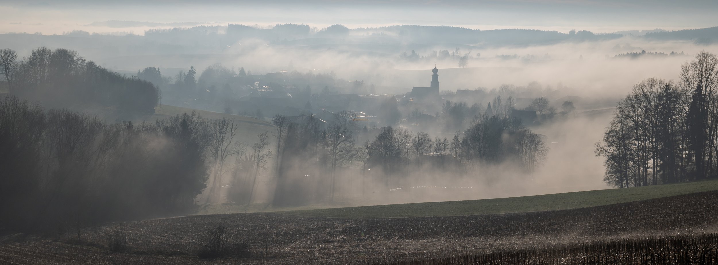 P1423267-3.jpg