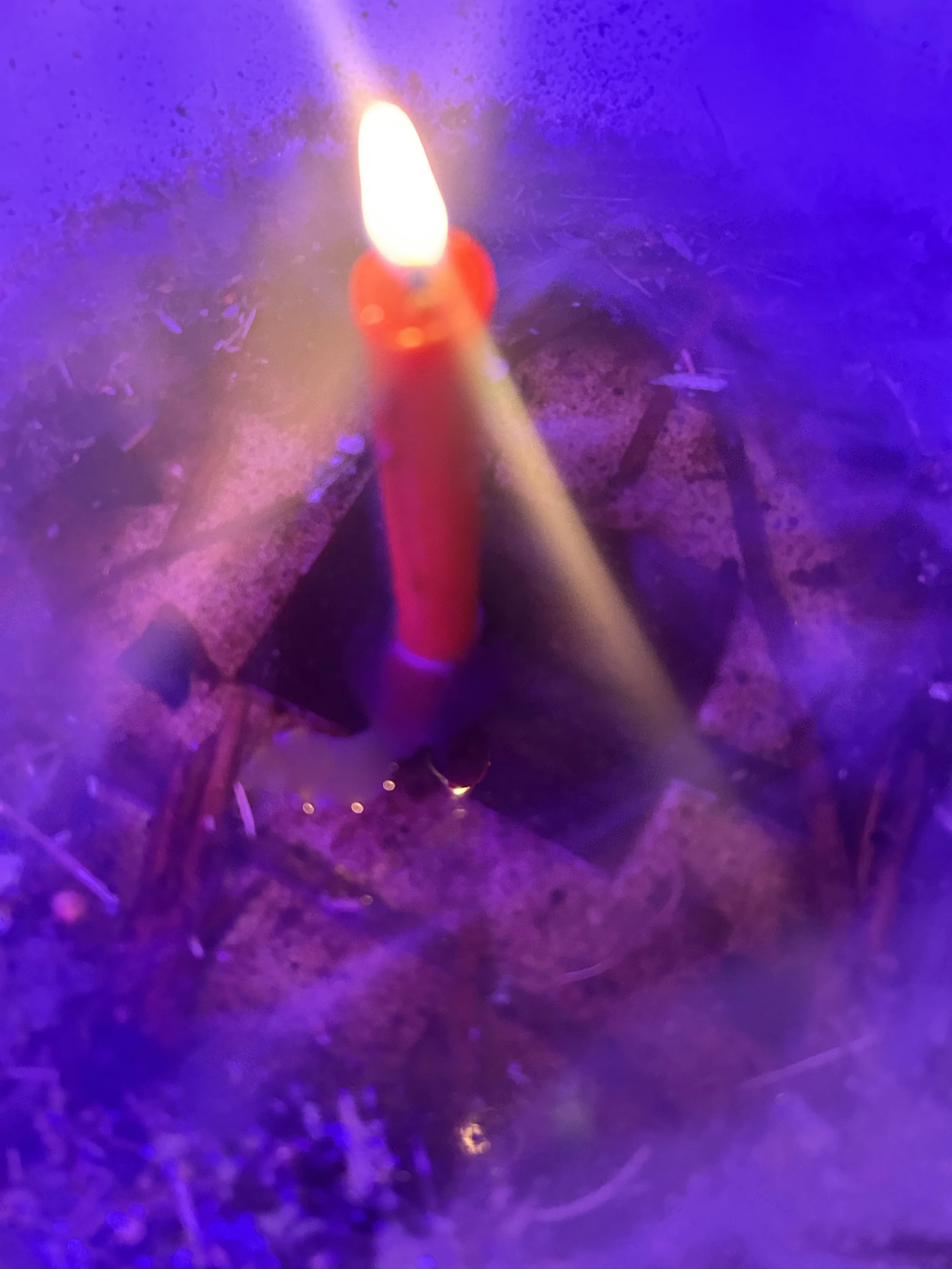 IMG_3139.jpeg