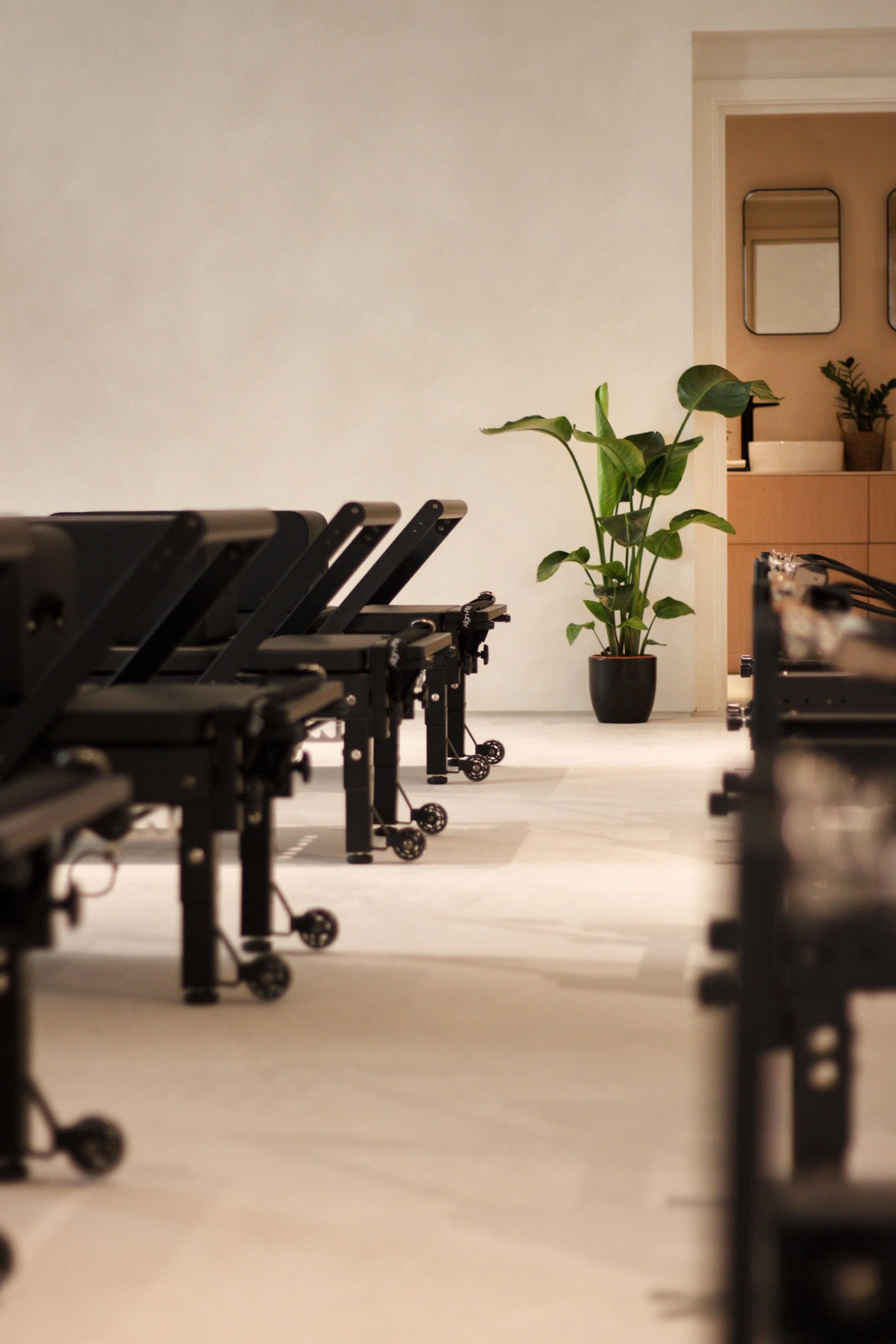 WhatsApp Image 2025-09-30 at 12.31.44.jpeg