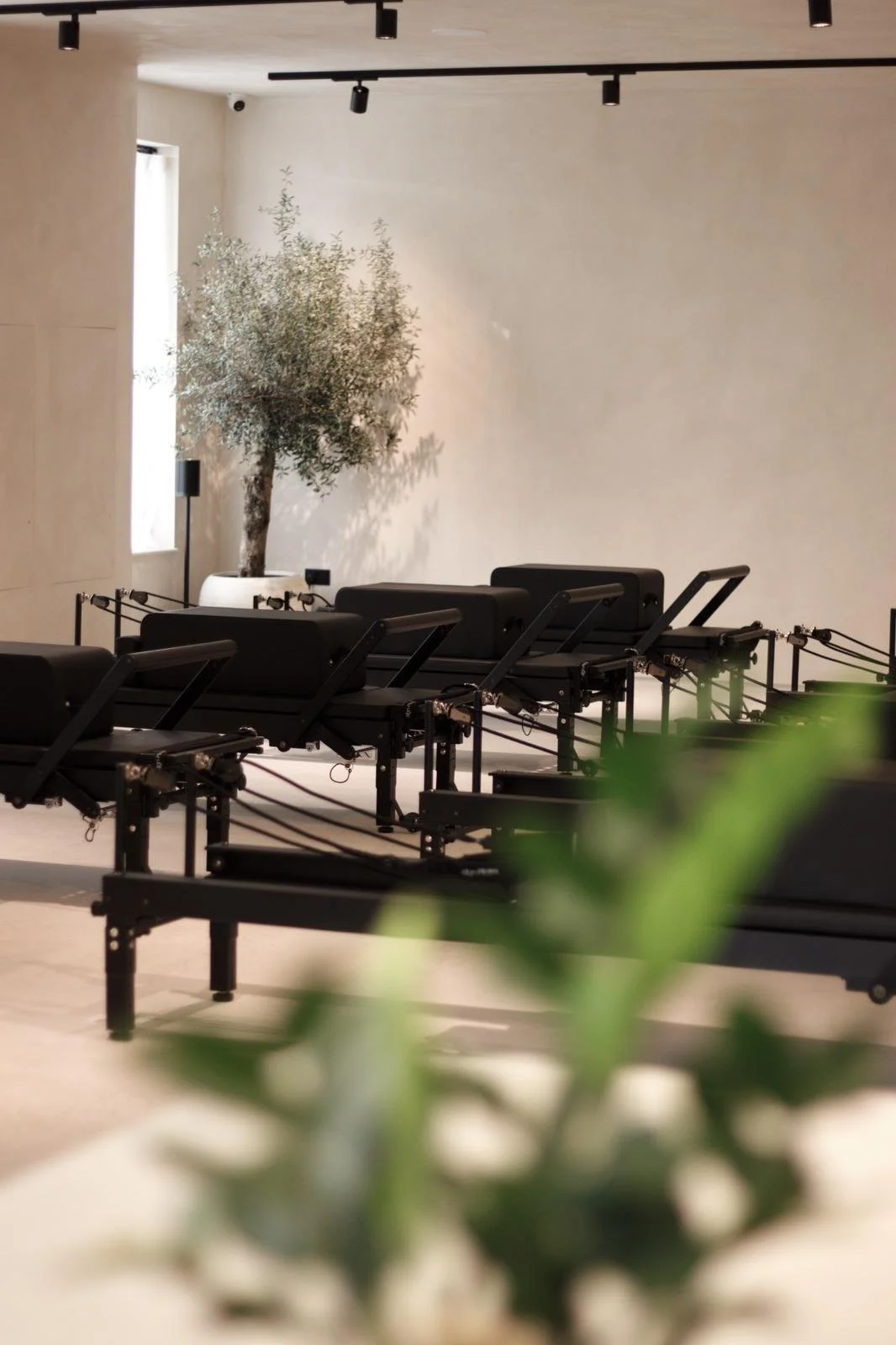 WhatsApp Image 2025-09-30 at 12.21.10.jpeg