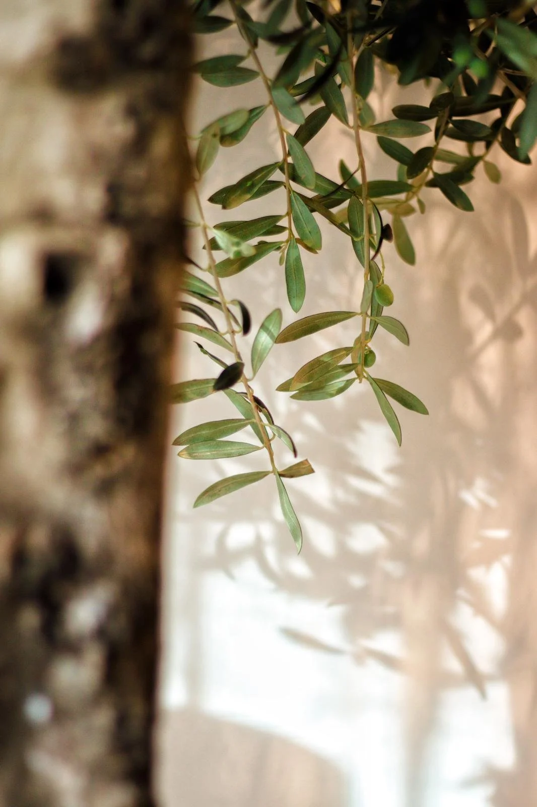 WhatsApp Image 2025-09-30 at 12.41.46.jpeg