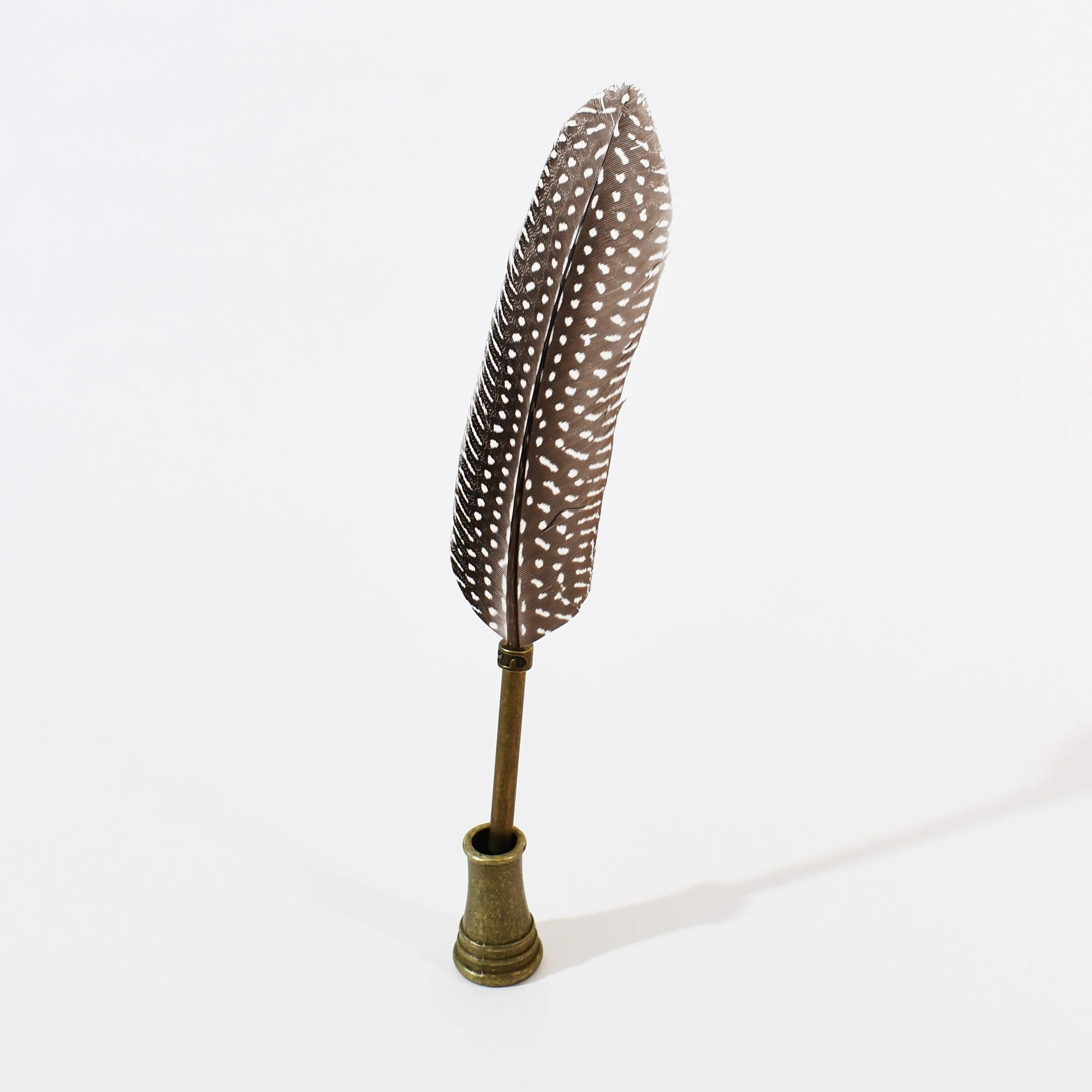 QUILL-DUCK_002.jpg