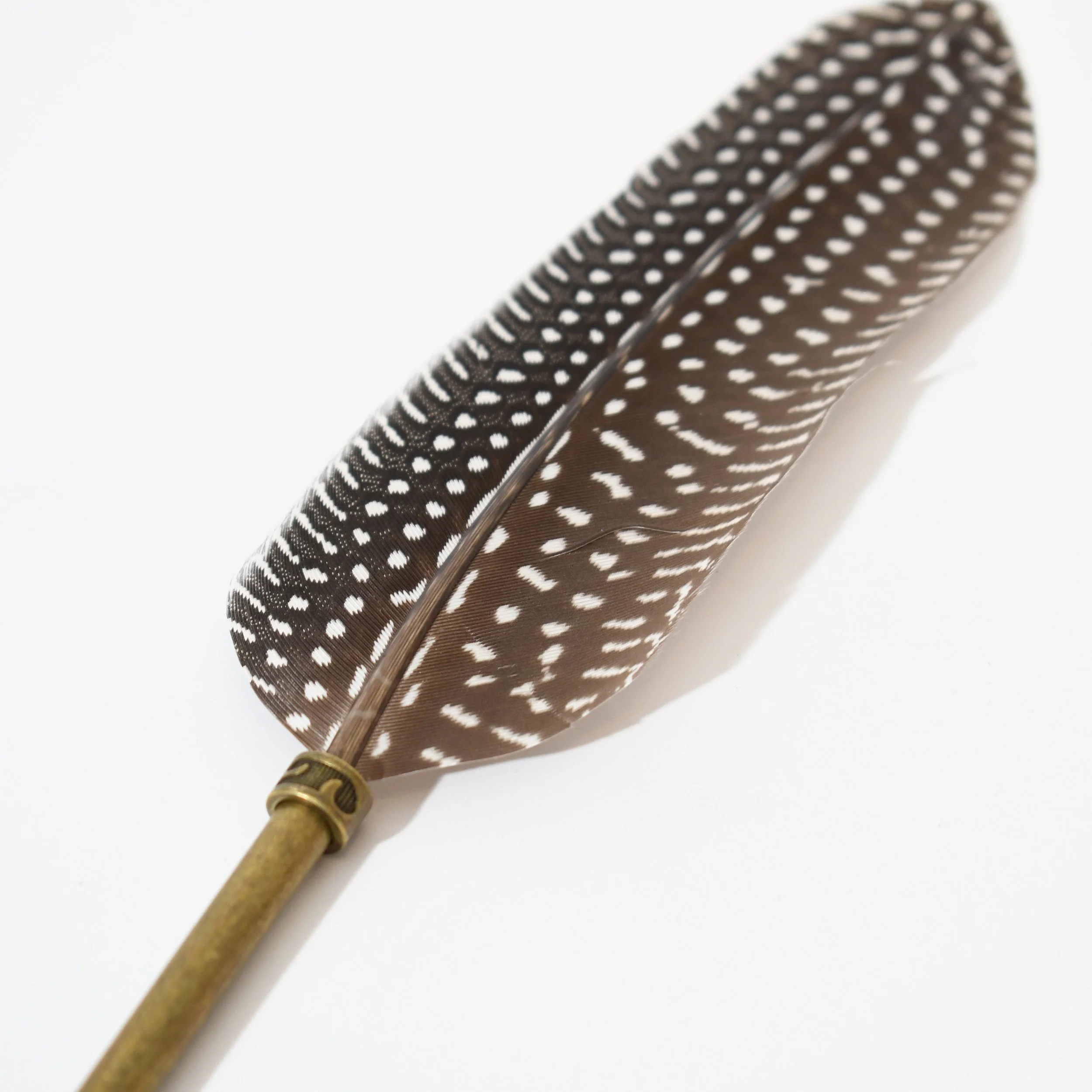 QUILL-DUCK_004.jpg
