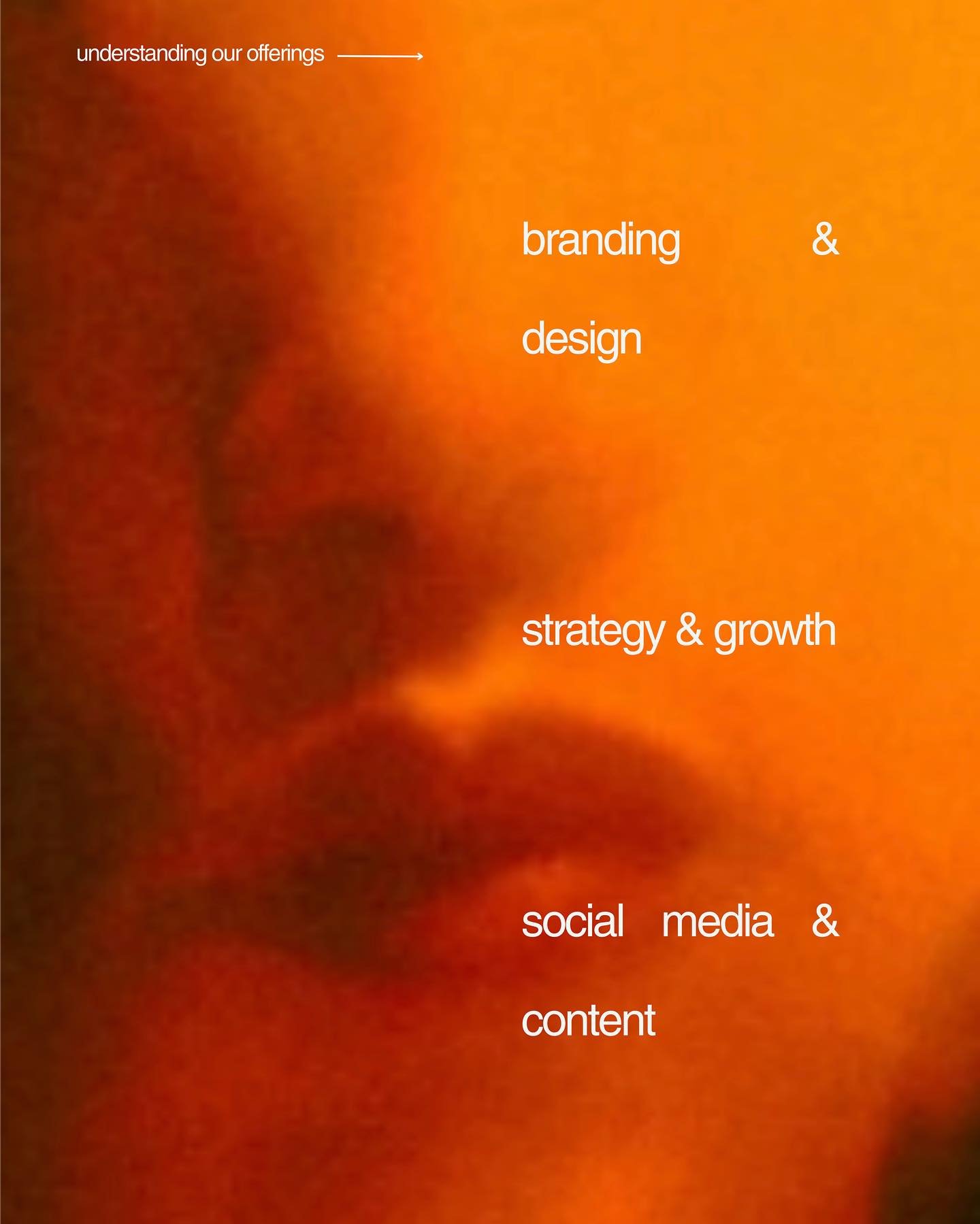 ✺ Our offerings