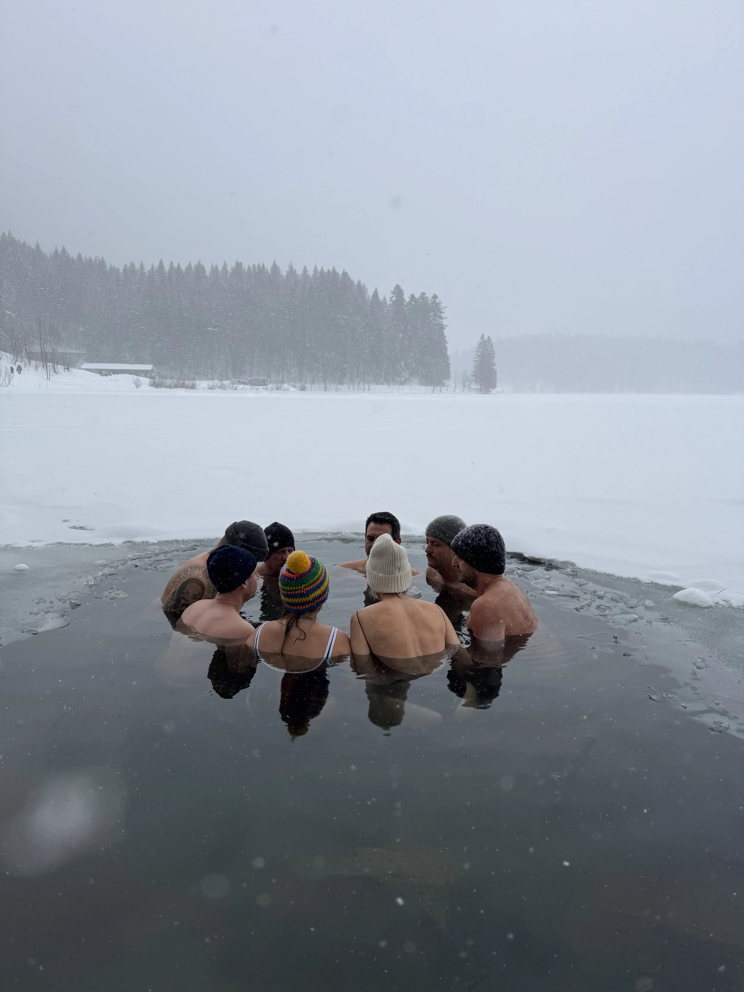 Wim Hof Method Advanced Workshop in Freiburg im Breisgau