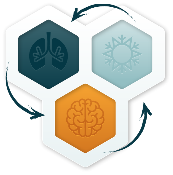 Grafik mit drei Symbolen: Lunge, Schneeflocke, Gehirn, in hexagonalen Rahmen