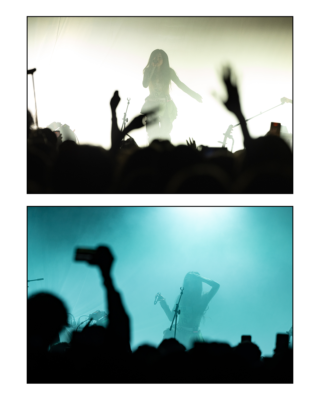 Untitled-7.png