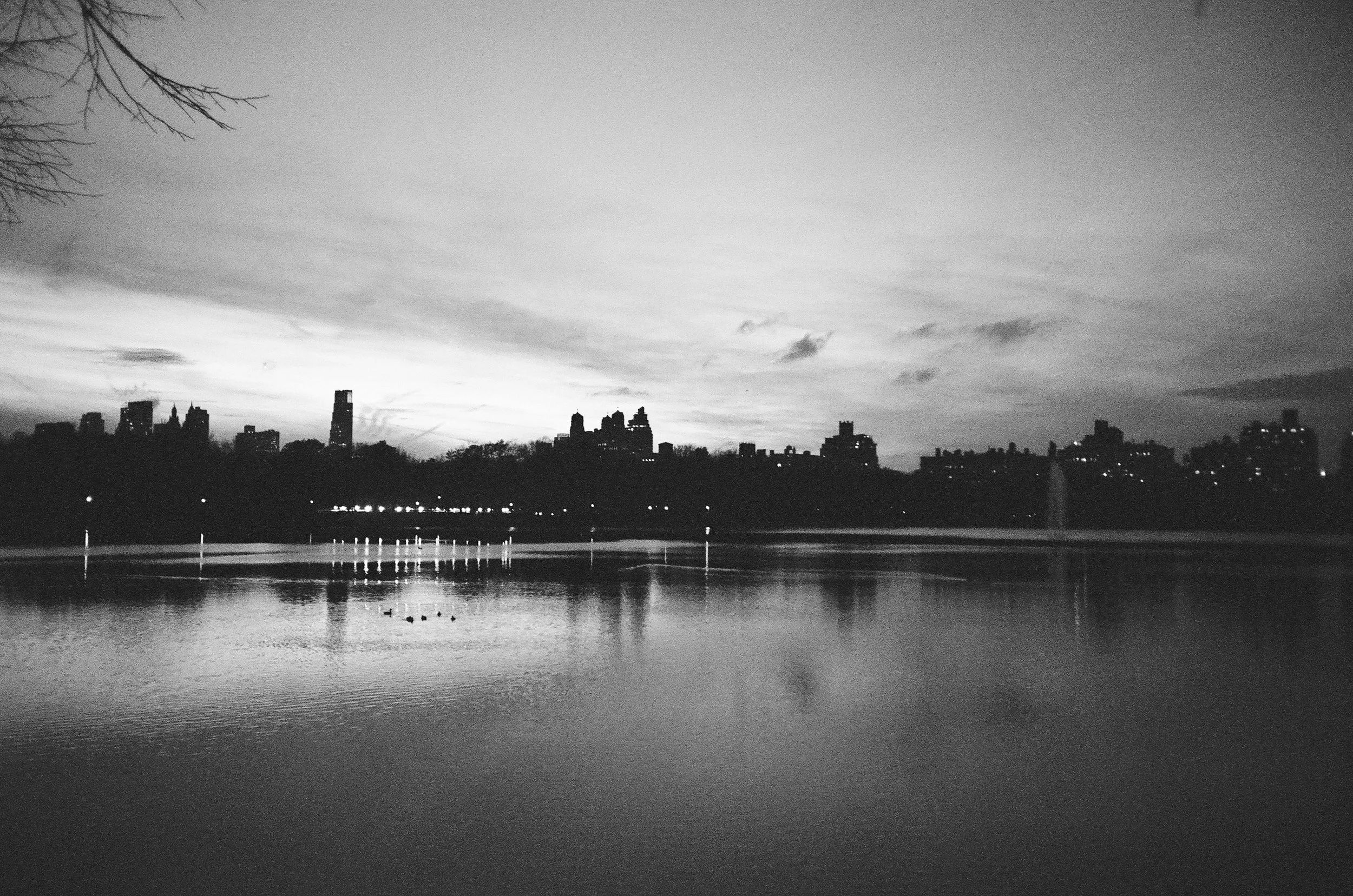 NYC DEC 25-16.jpg
