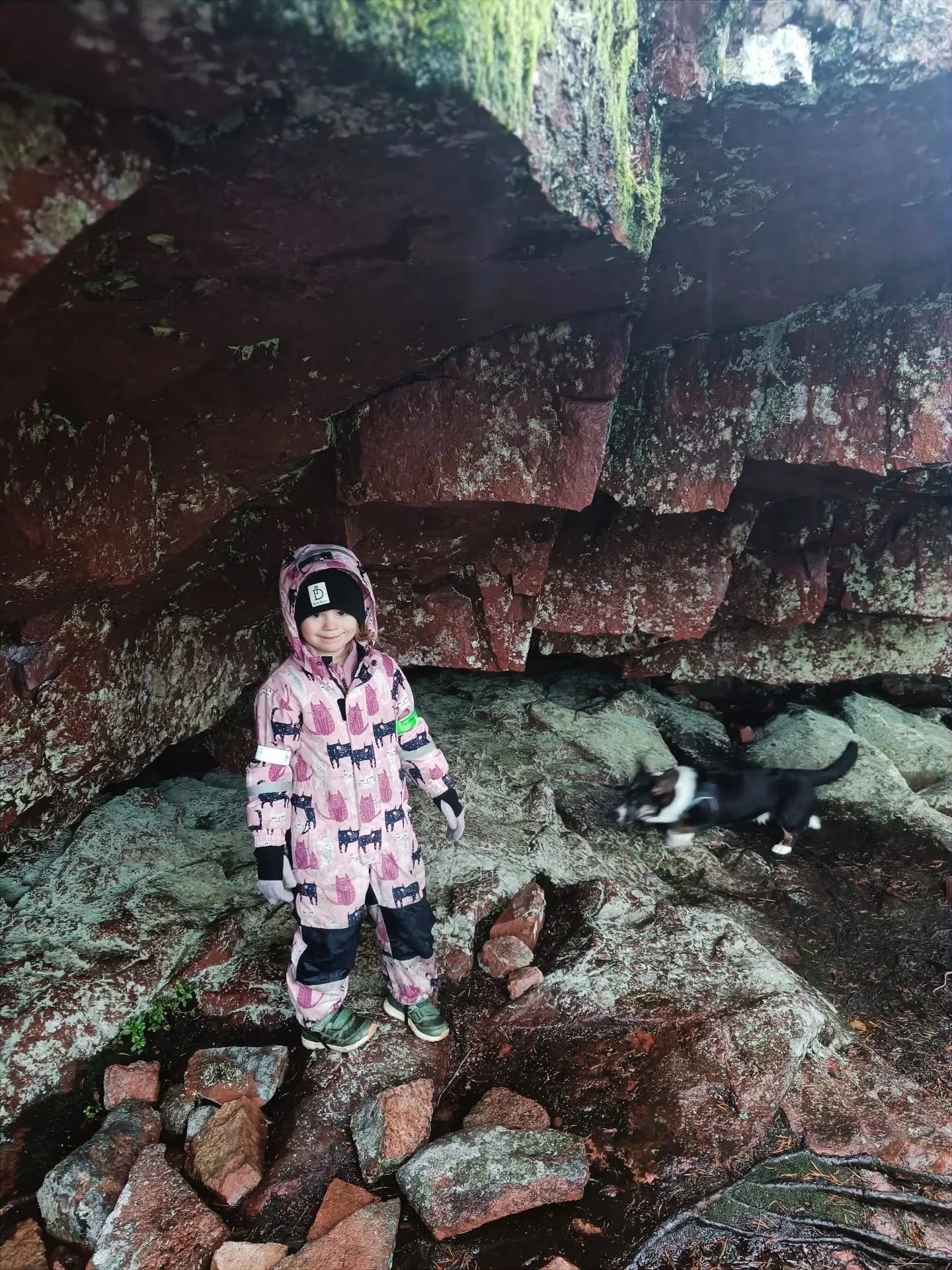 Dagbok: Jag k&auml;nde mig som farbror Melker i dag n&auml;r vi vandrade i regn, p&aring; hala berg ute i skogen. Vad hade jag f&ouml;rsatt oss i? 
Det bl&aring;ste kallt och b&ouml;rjade sakta men s&auml;kert skymma och pl&ouml;tsligt s&aring;g jag 