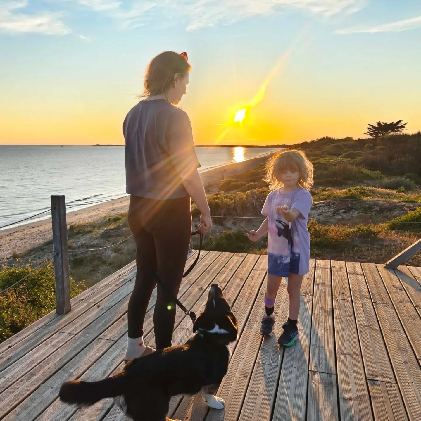 Semesterdagbok - Efter l&aring;ng dag i bil anl&auml;nde vi till paradiset. En liten &ouml; inte l&aring;ngt fr&aring;n Fort Boyard, funderar mycket p&aring; om tigrarna bor d&auml;r &aring;ret om? Och hur &auml;r det med La boule som slog i gonggong