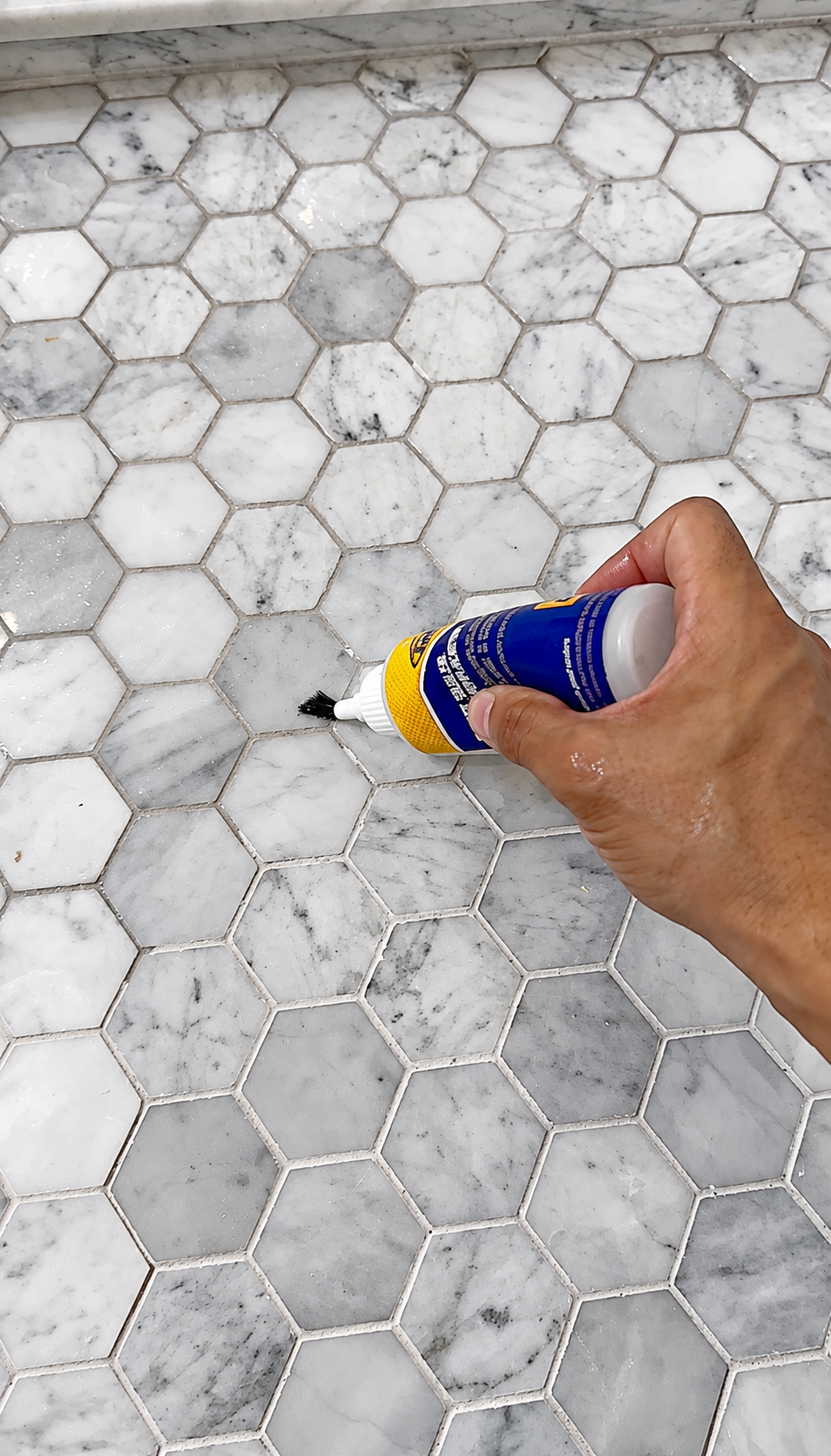 Seal floor tile.png