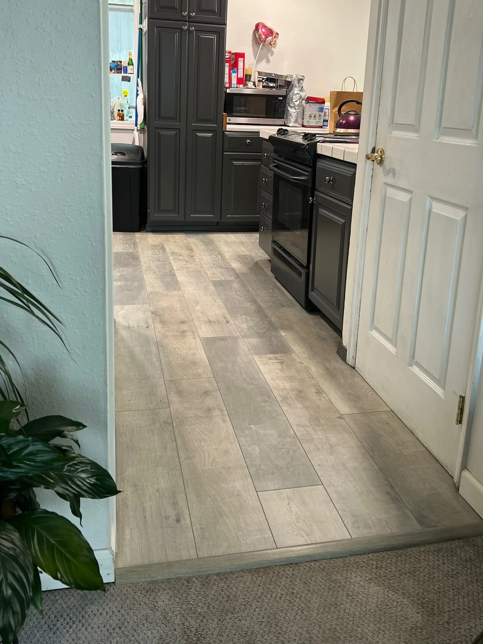 Des Moinse - LVP Flooring