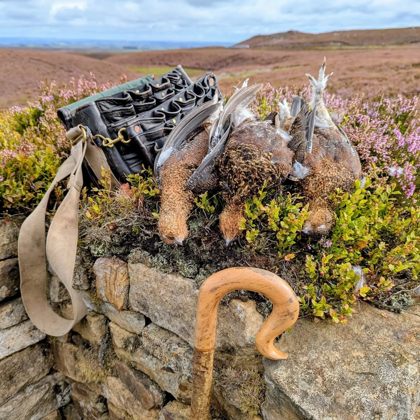 #grouseshooting #grouse #drivenday #gamekeeper #tweed #shotgun #gundogs #fieldtofork #fieldsports #grousebutt #moorland #uplandmanagement #jldsporting #beaters #eatmoregame