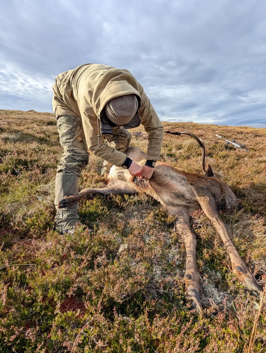 The Gralloch.
#reddeer #redstag #highlands #fairchase #walkandstalk #hunting #fieldsportsscotland #ghille #venison #huntingisconservation #jldsporting #jagd #caza