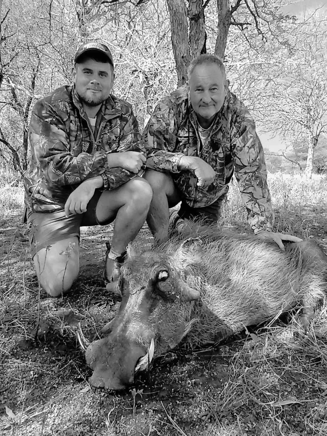 Warthog....bushveld adventures. #walkandstalk #warthog #safari #huntingbuddies #fairchase