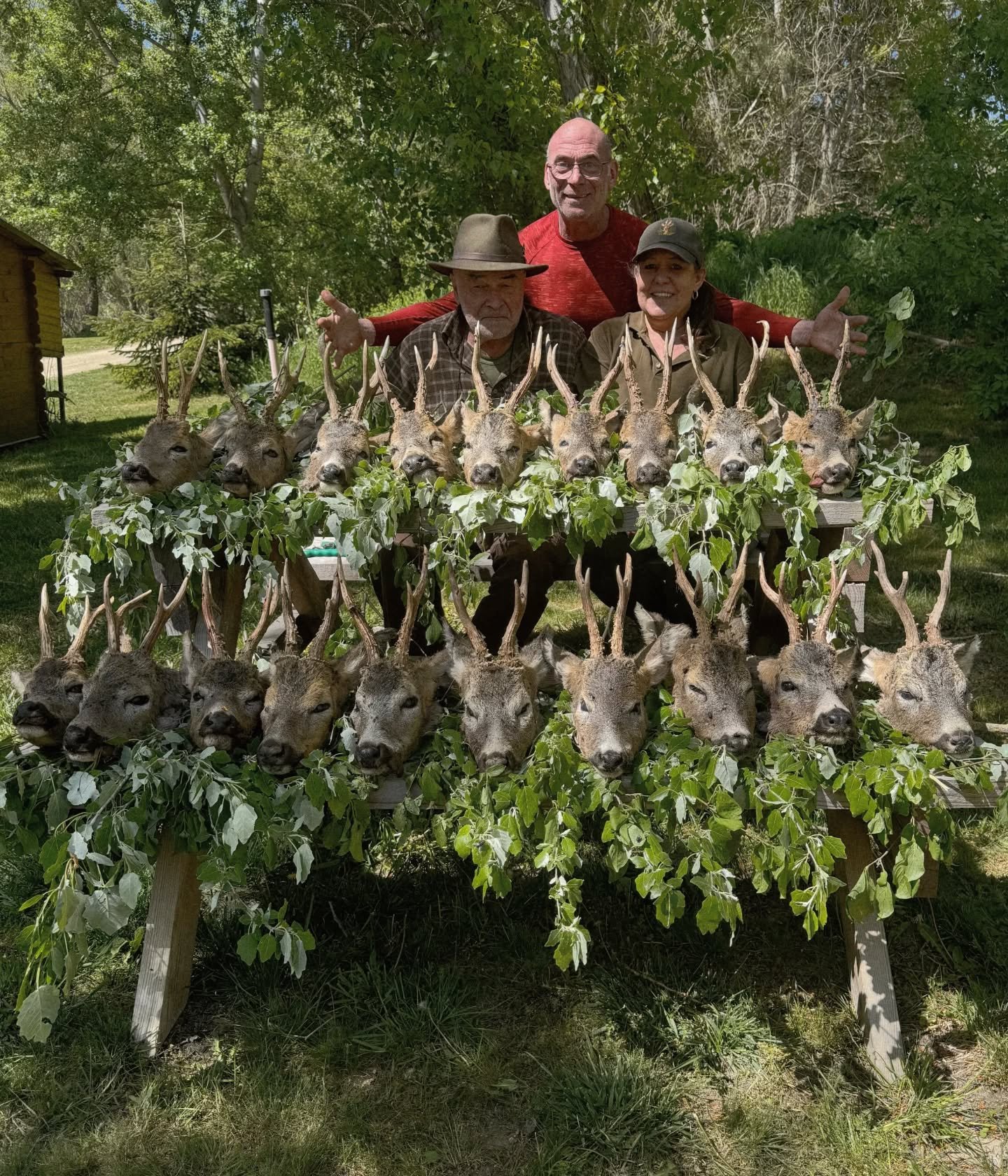 Meanwhile in Hungary 🇭🇺......what an absolutely fabulous six days of Roe buck stalking 📯🌿🍻
#happyhunter #roedeer #roebuck #deerstalking #waidmannsheil