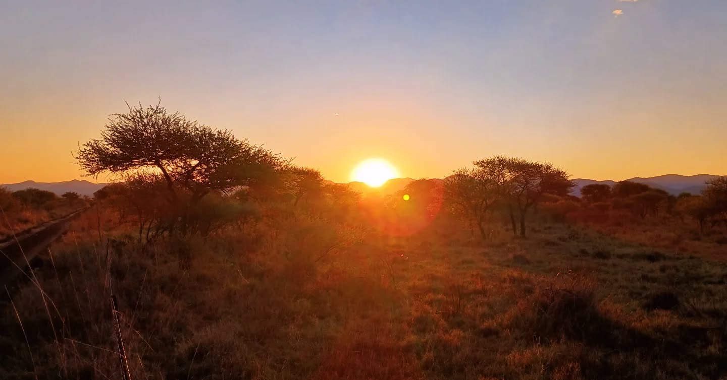 Another day done....
#limpopo #bushveldadventures #safari #hunting #sundowner