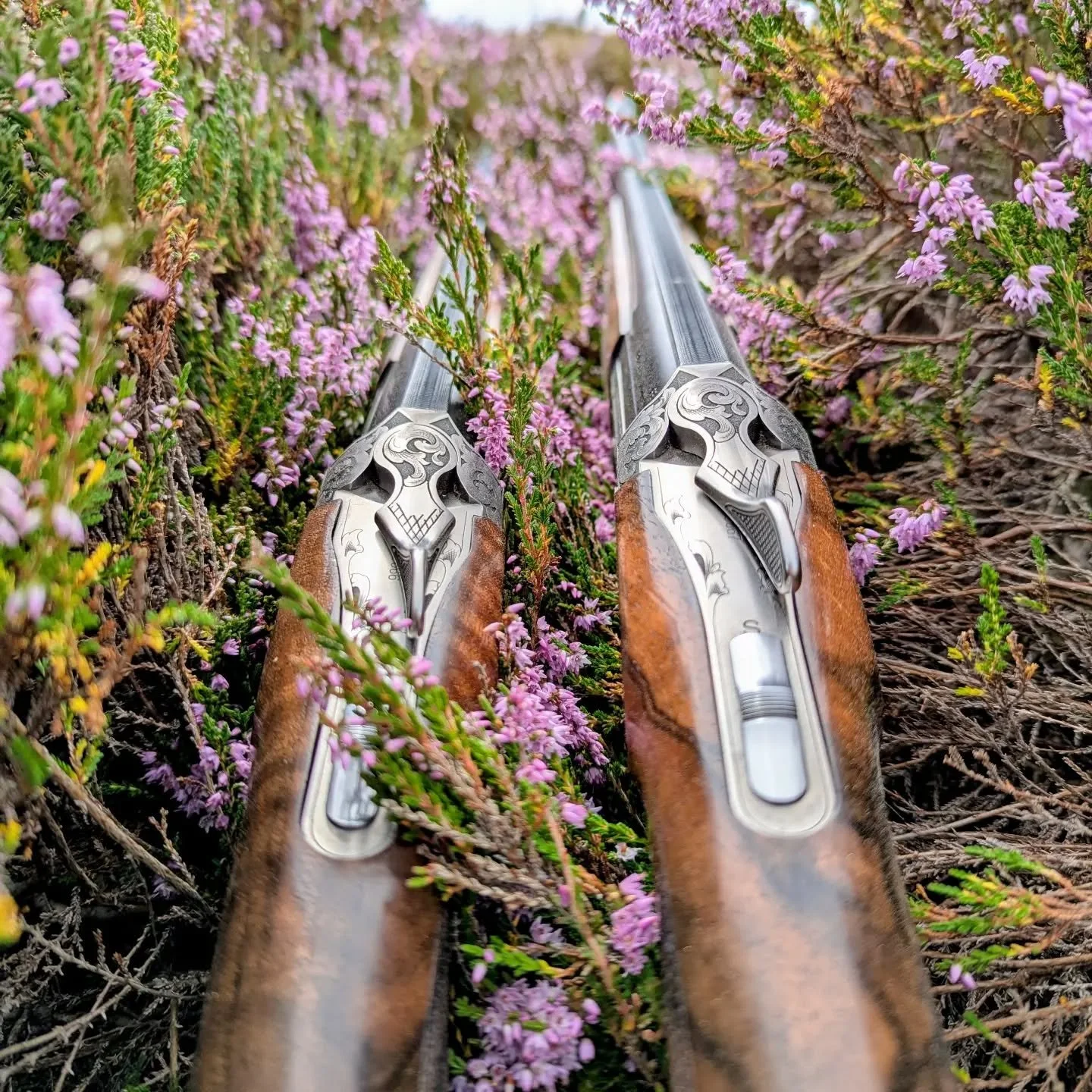 #augustgrouse #grouseshooting #fieldtofork #drivenday #fieldsports
