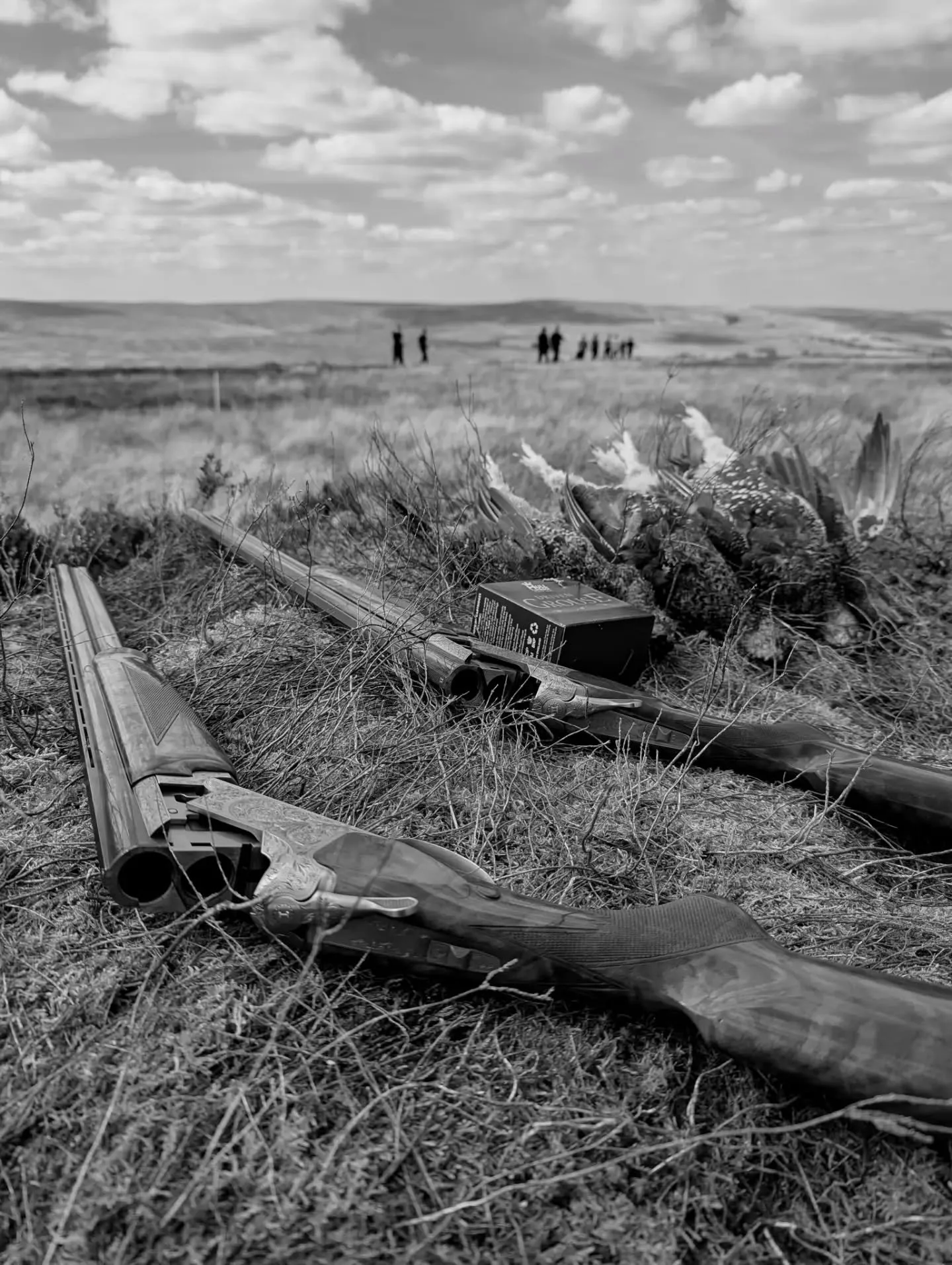 August Grouse... #doubleguns #grouseshooting #gamebirds #heather #gamekeepers