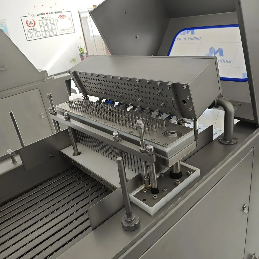 Brine Injector BB-112 details (3).jpg