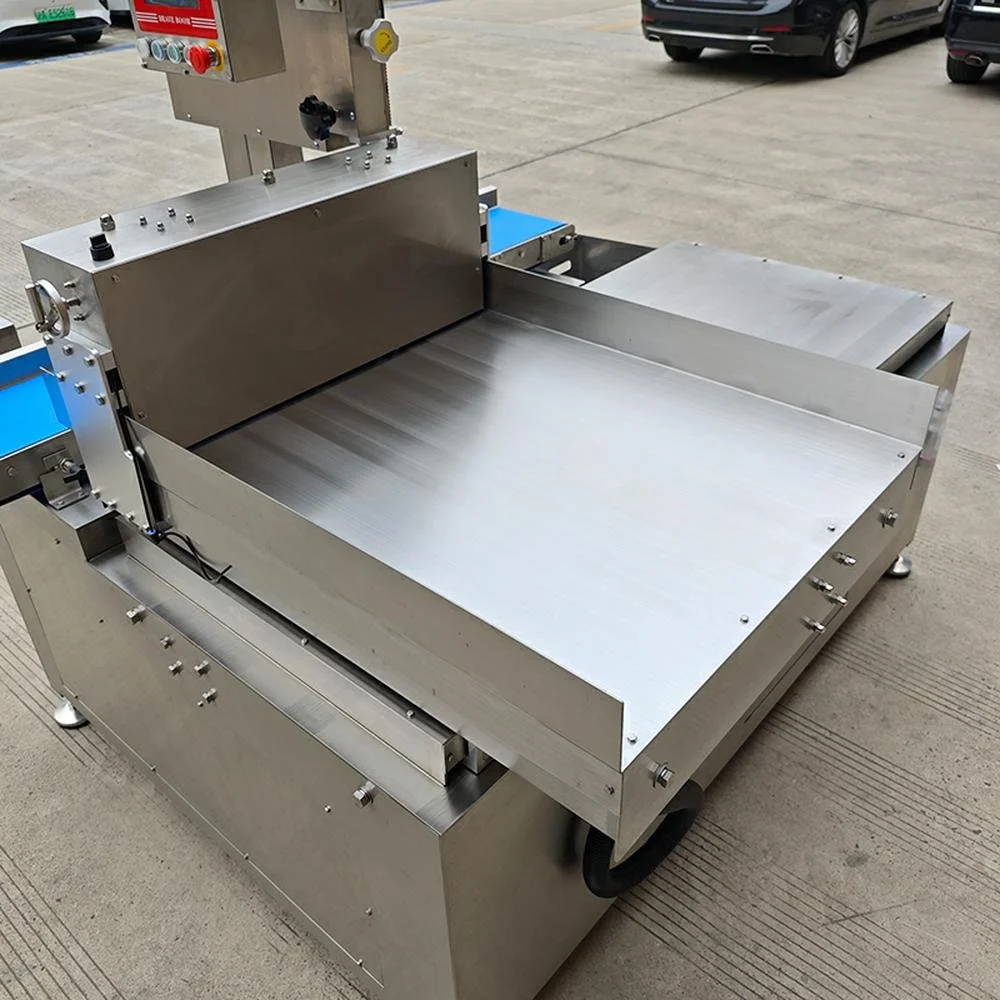 Fully Automatic Bone Saw Machine BB-420A details (3).jpg