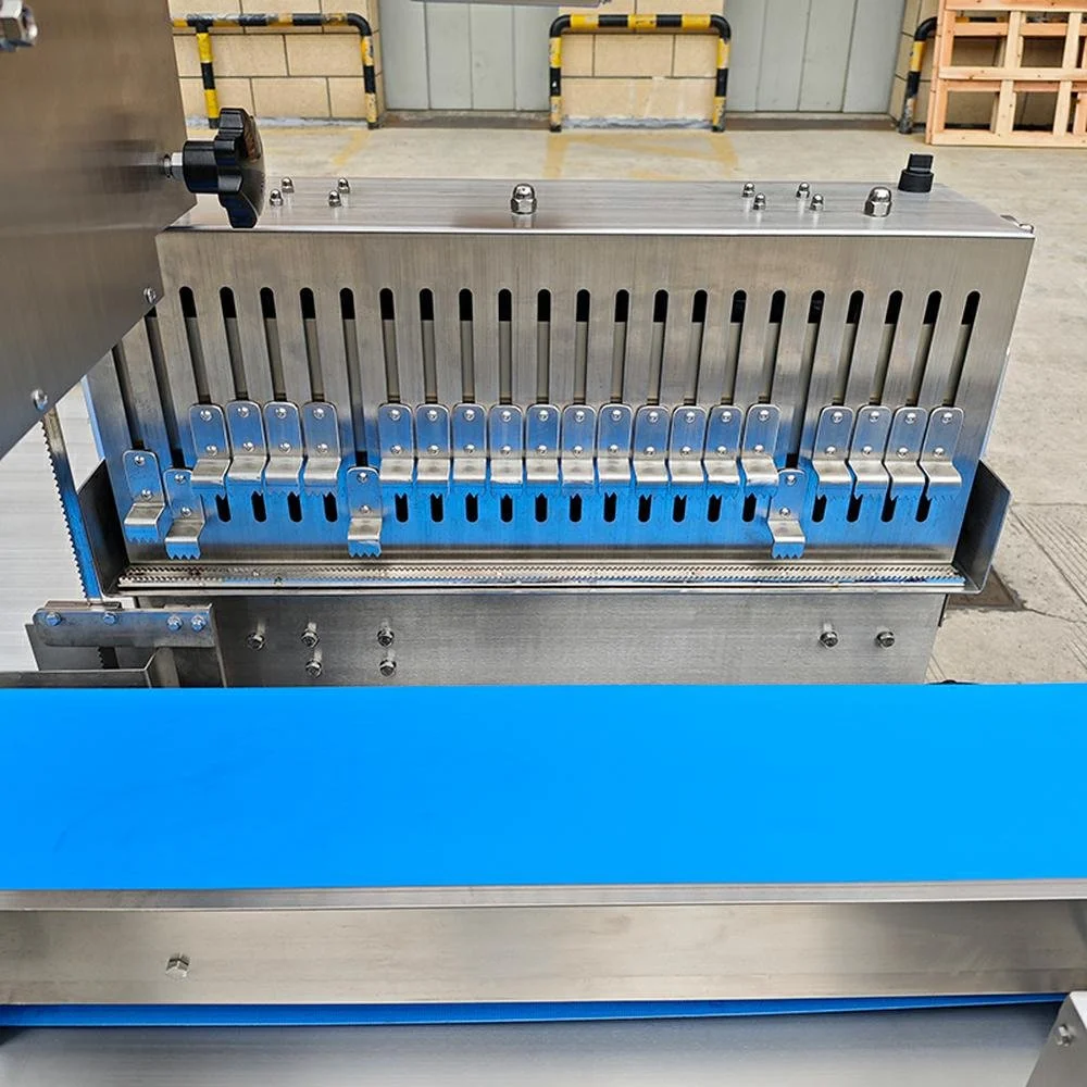 Fully Automatic Bone Saw Machine BB-420A details (2).jpg