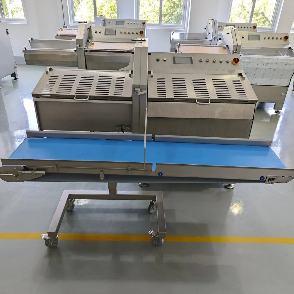 Frozen Meat Slicer CP-36K details (10).jpg