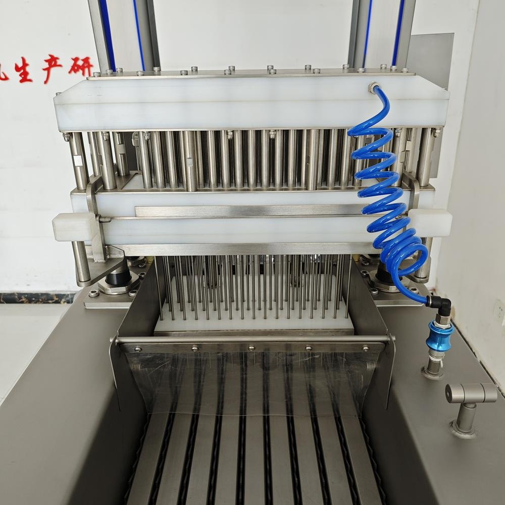 Brine Injector BB-50 details (4).jpg