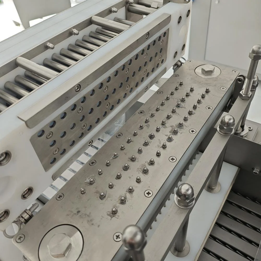 Brine Injector BB-50 details (5).jpg