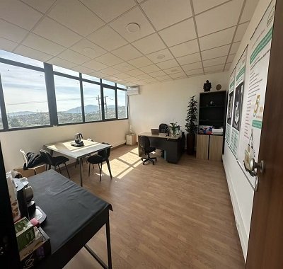 Greek Office (1).jpg