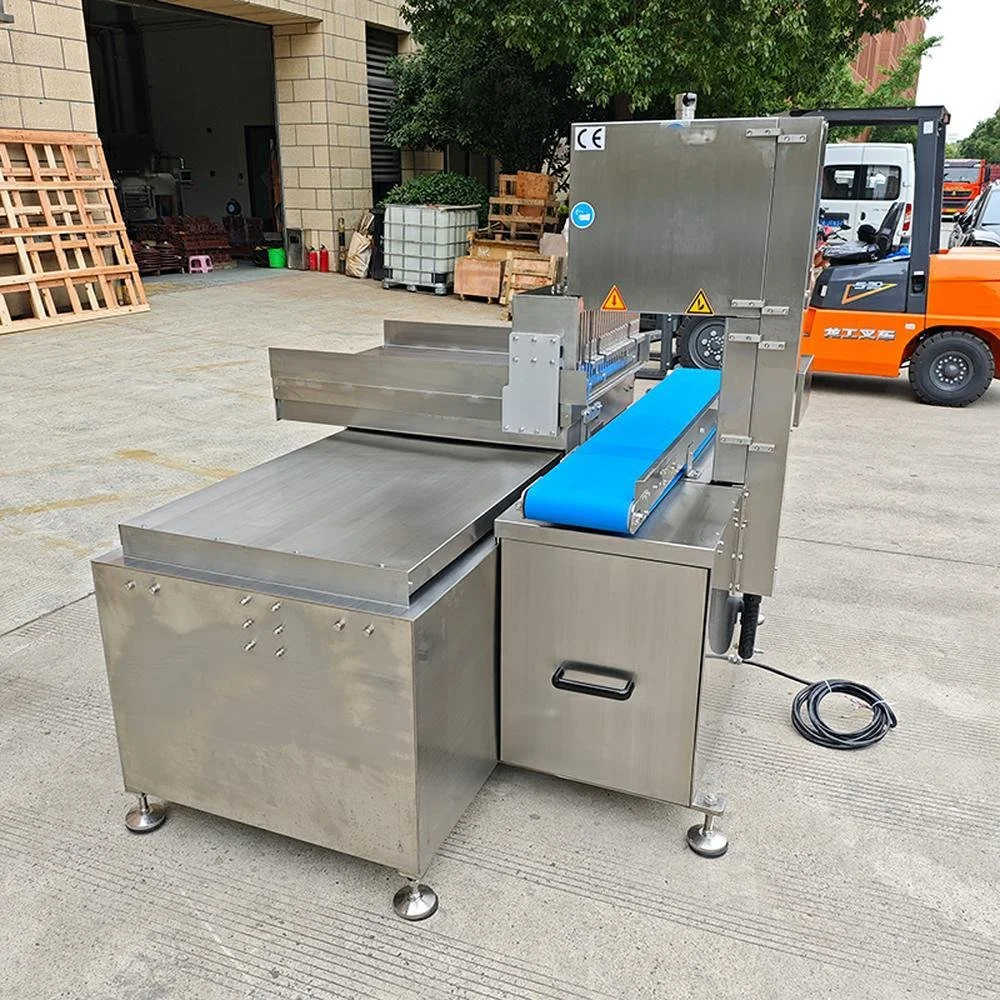 Fully Automatic Bone Saw Machine BB-420A overview (4).jpg