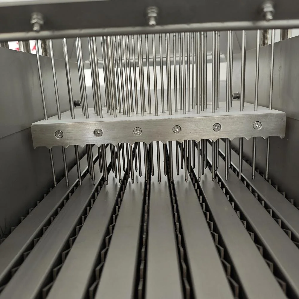 Brine Injector BB-50 details (6).jpg