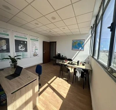 Greek Office (3).jpg