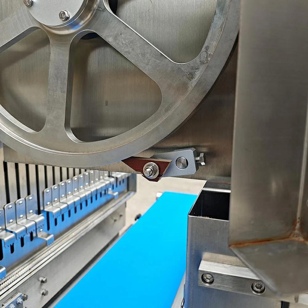 Fully Automatic Bone Saw Machine BB-420A details (8).jpg