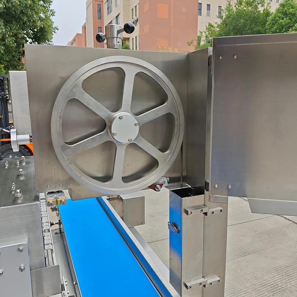 Fully Automatic Bone Saw Machine BB-420A details (4).jpg