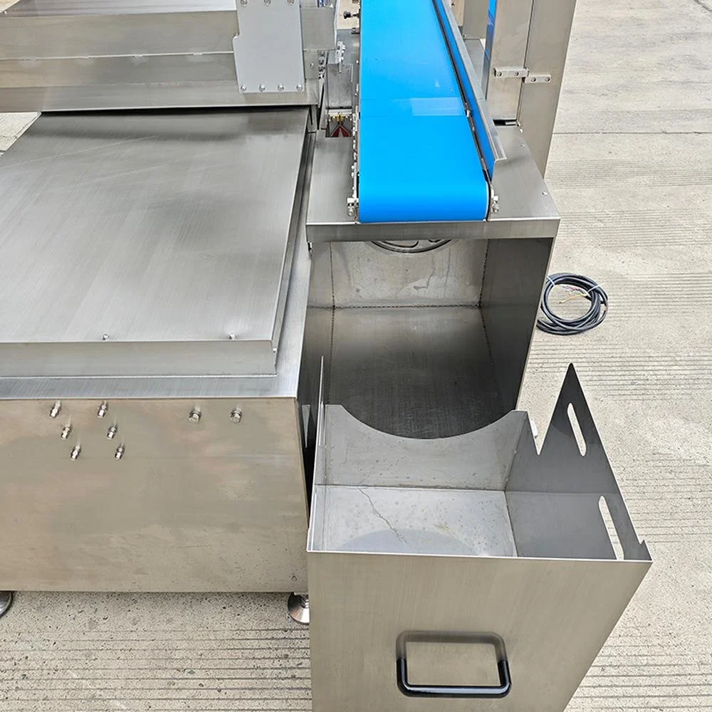 Fully Automatic Bone Saw Machine BB-420A details (6).jpg