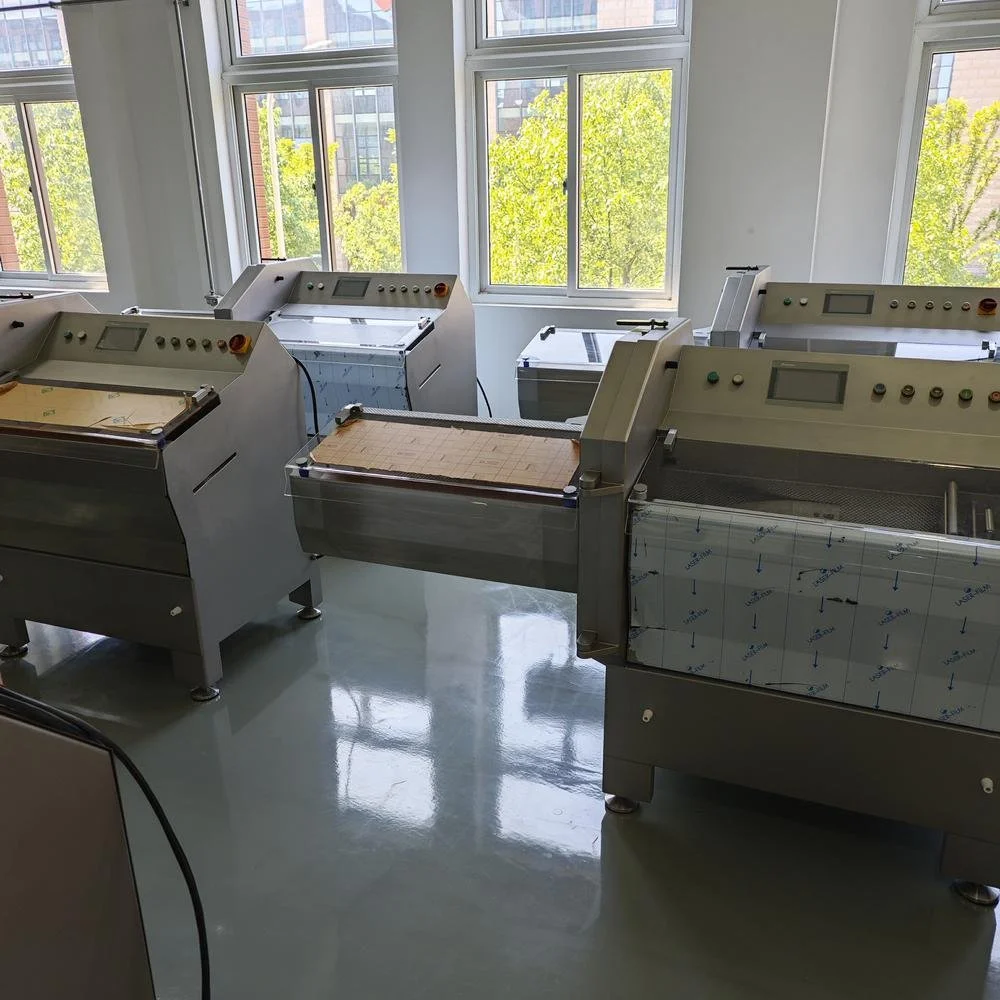 Frozen Meat Slicer CP-25 overview (6).jpg