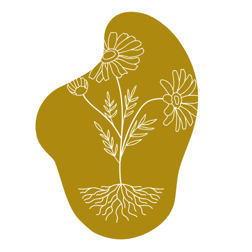 A white outline of a plant with roots, leaves, and three daisies, overlaid on an irregular gold shape with a black background.