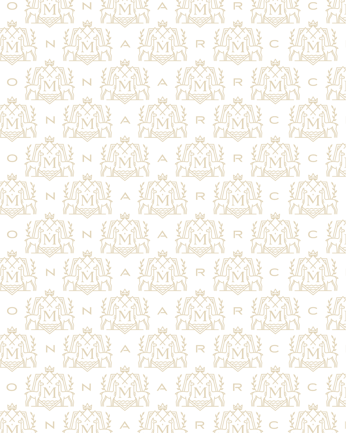 Branding Preso-02.png