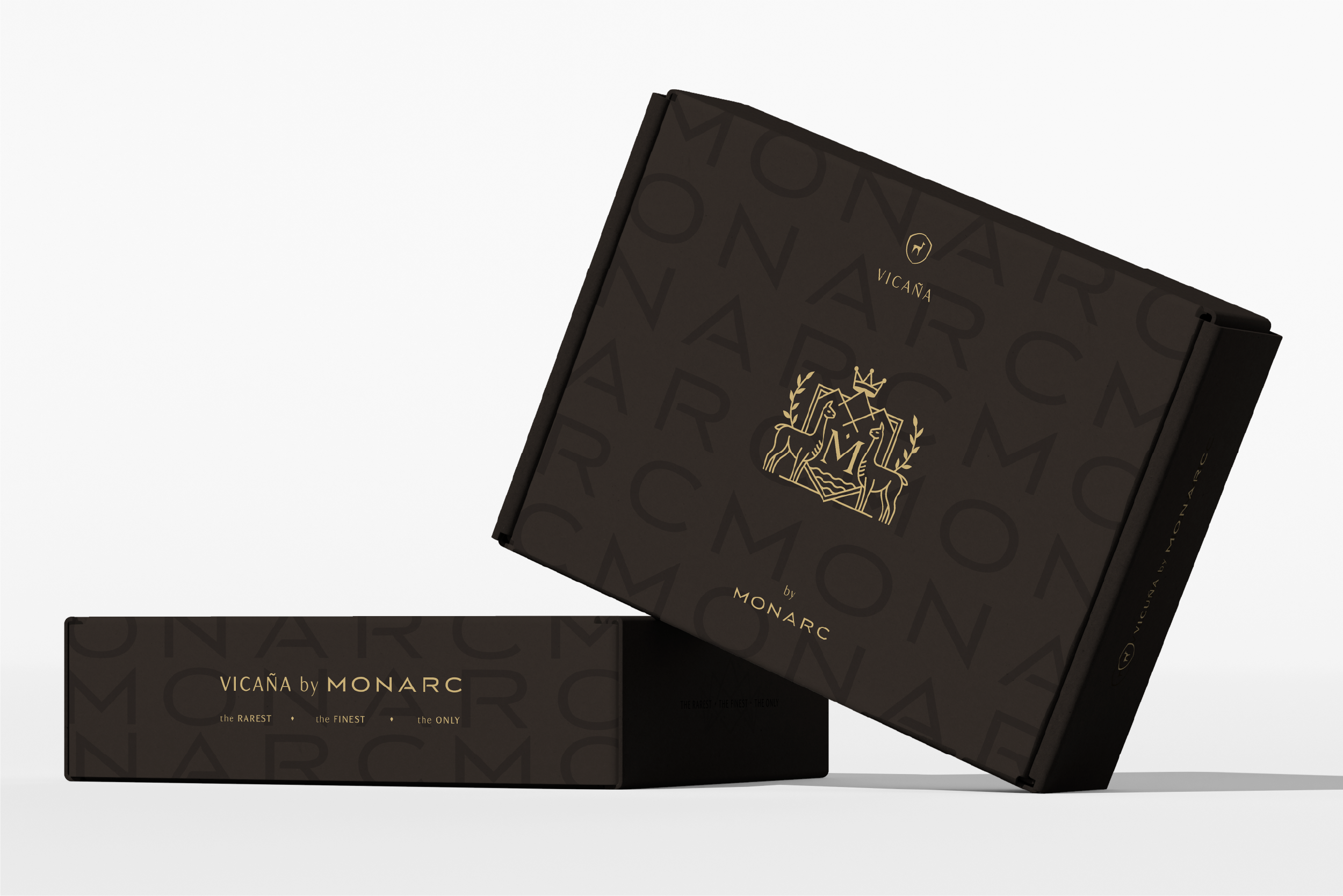 Branding Preso-07.png