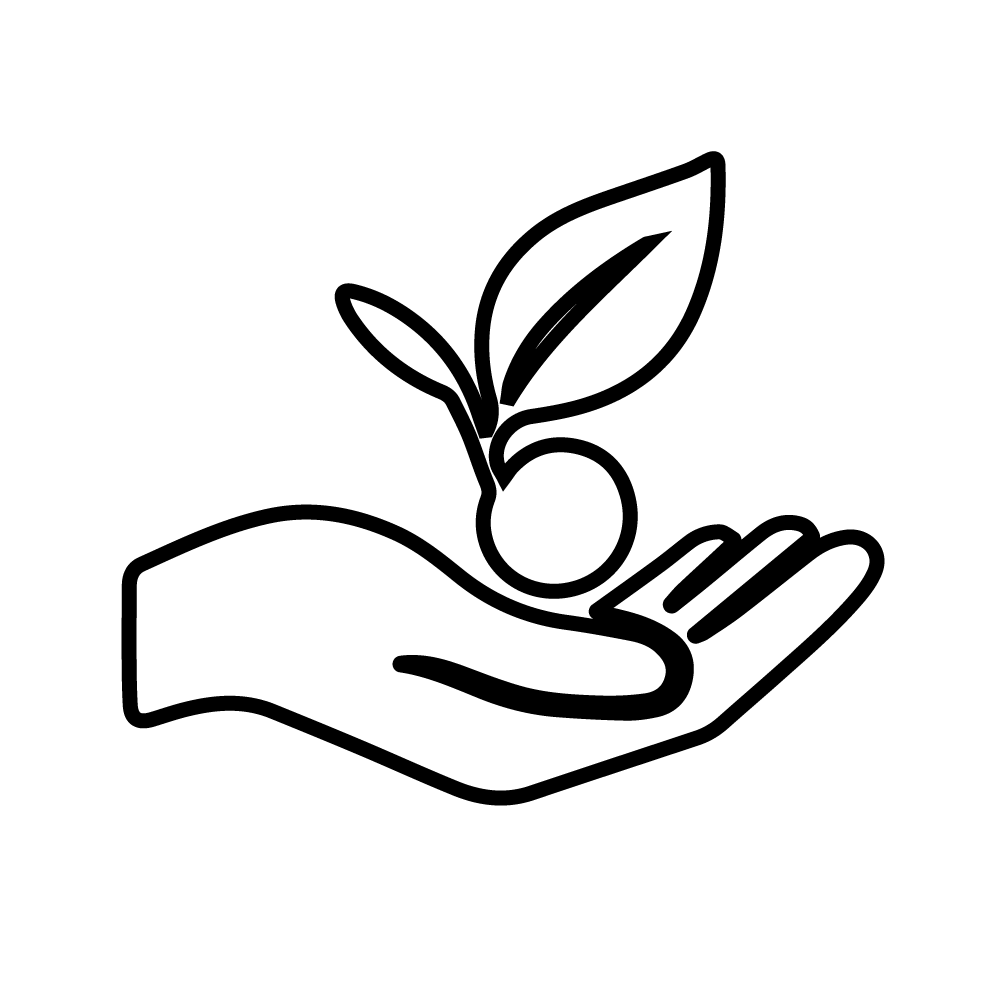 Outline drawing of a hand holding a small plant with two leaves.