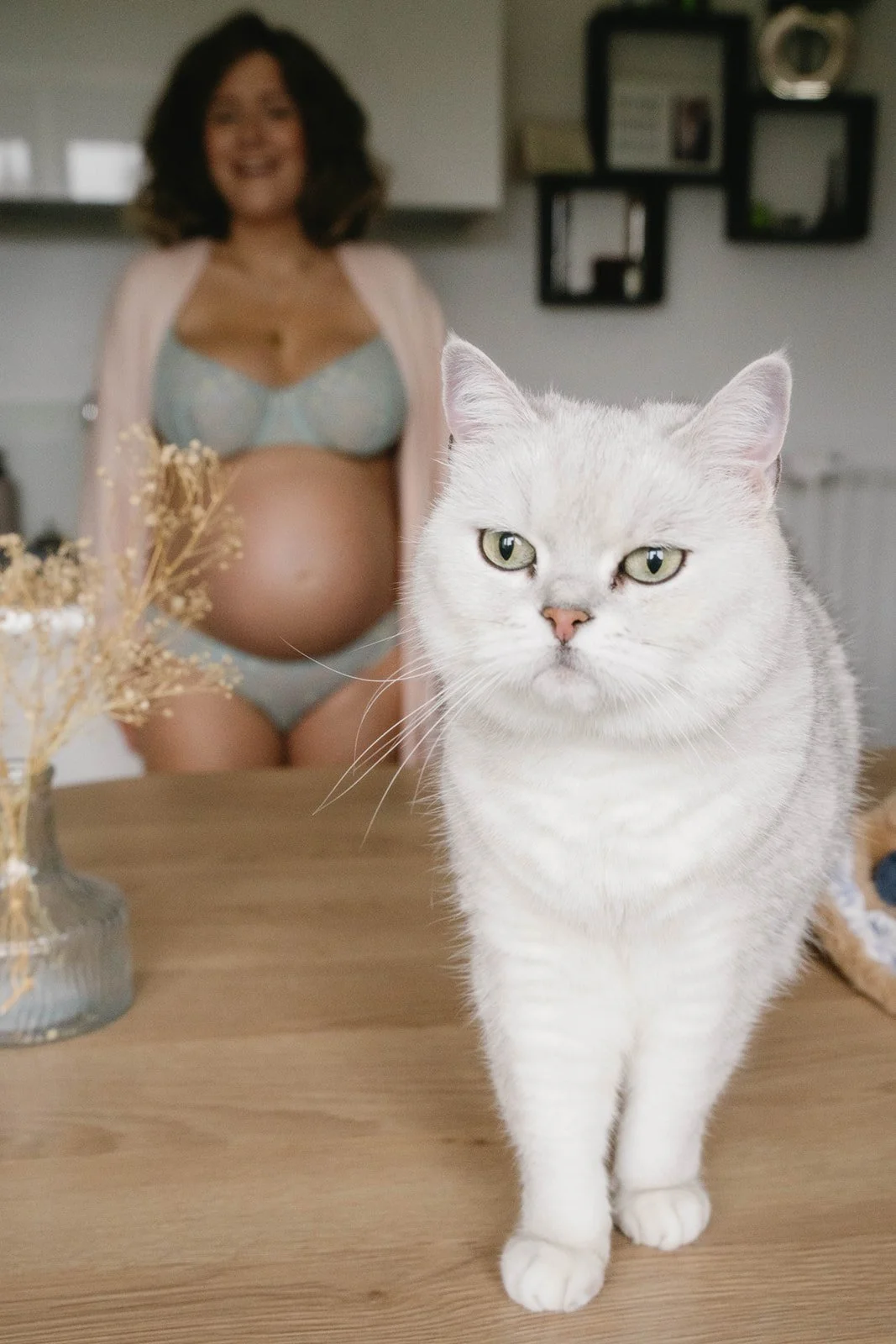 Femme enceinte et son chat