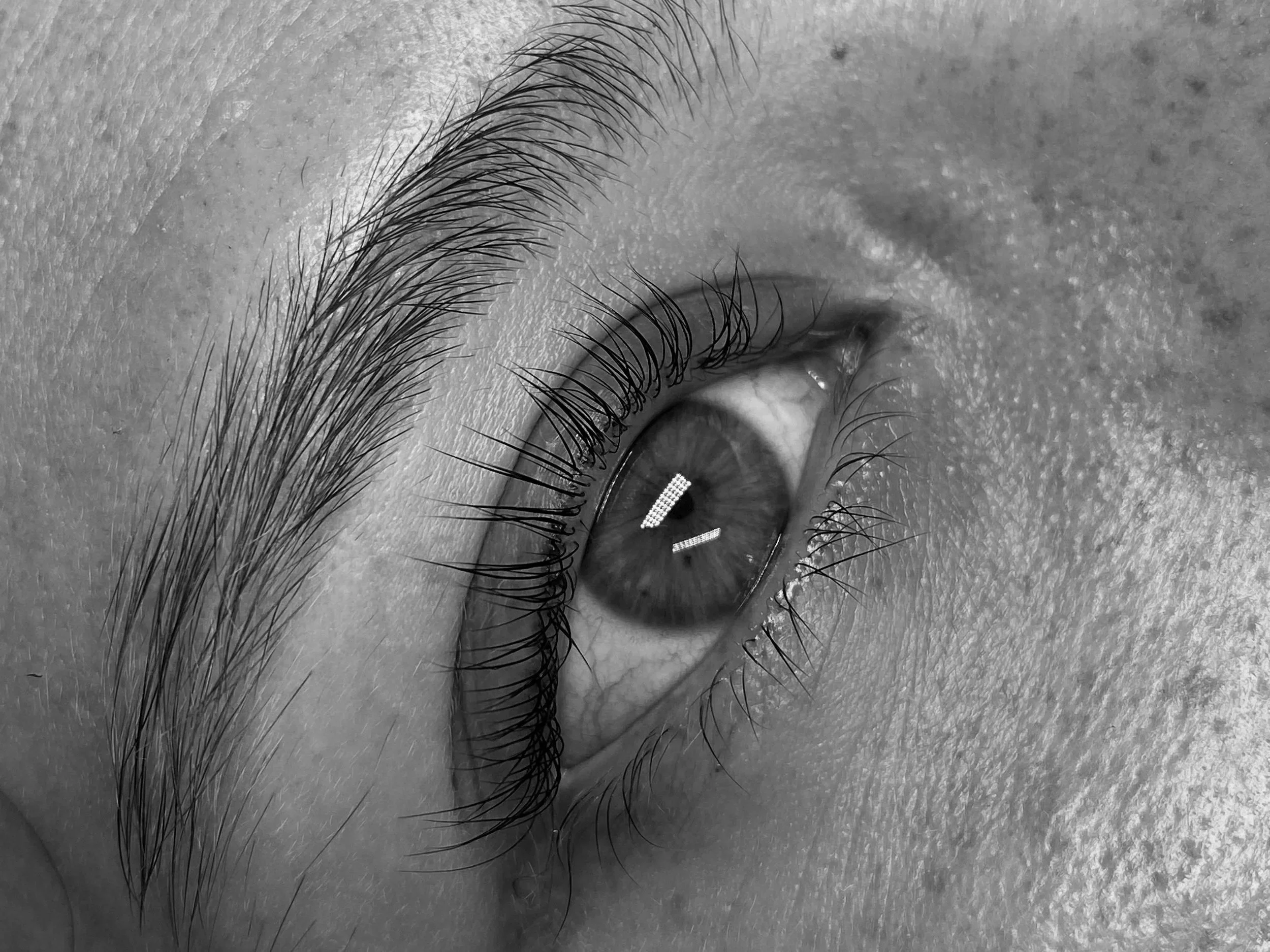 Close-up of beautifully tinted eyelashes, enhancing natural lash colour for a fuller, defined look. The lash tint creates a polished, long-lasting effect, perfect for effortless beauty. Experience expert lash tinting at our studio in Hackney, where e