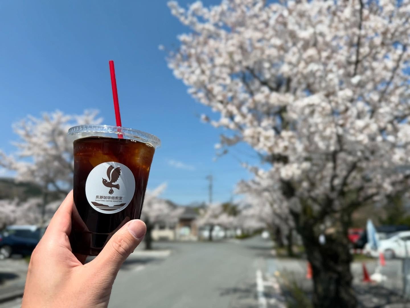 桜の撮影の合間でのひと時