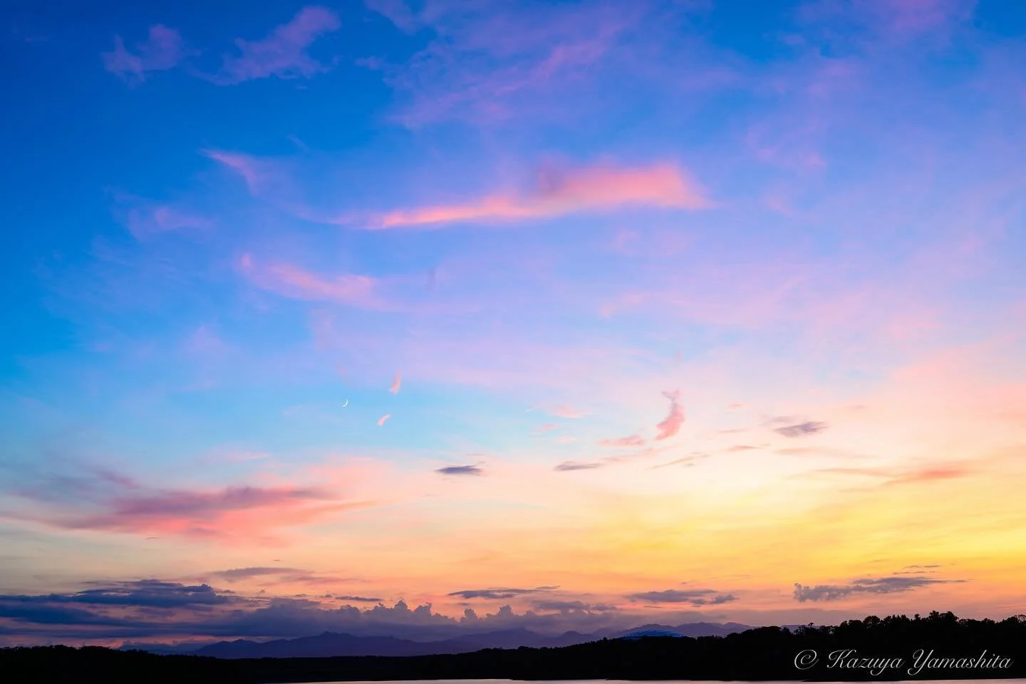 とある夏の一コマ

#多摩湖 #狭山公園 #とある日常 
#ファインダー越しの私の世界 #nikonz7ii 
#nikoncreaters #nikkor #ニッコールレンズ 
#nikkorlens 
#kazuyayamashita_photo