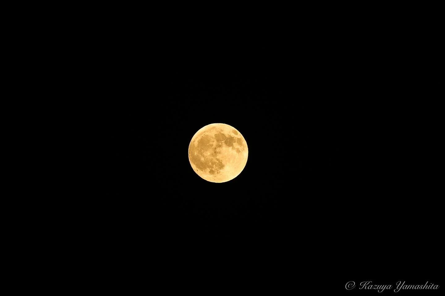 2025.09  満月前夜

#nikonz7ii #nikkor #nikkorlens 
#ファインダー越しの私の世界 #nikoncreator 
#kazuyayamashita_photo