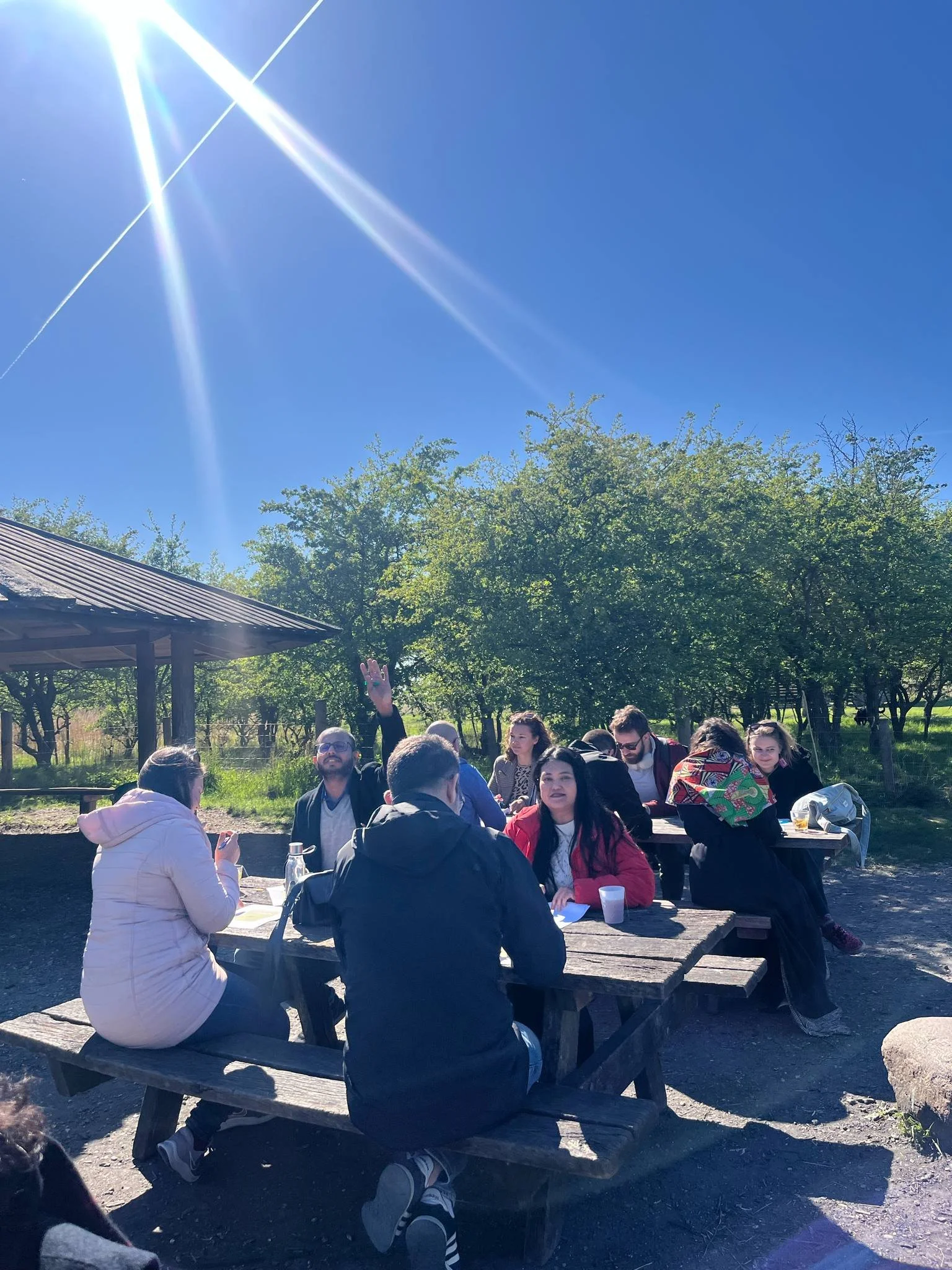 A group of people sitting and chatting at picnic tables outdoors, with green trees and a clear blue sky in the background, under bright sunlight.