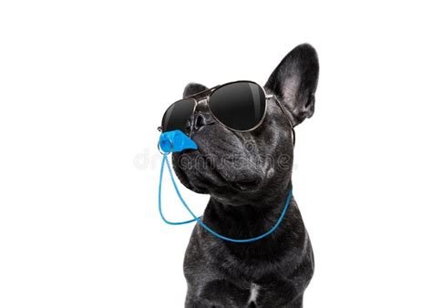 Safety Whistle