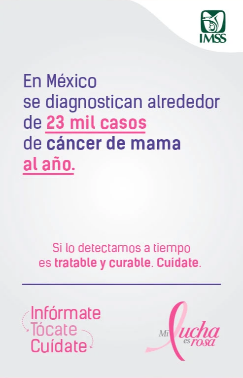 Captura de pantalla 2025-11-06 154506.png