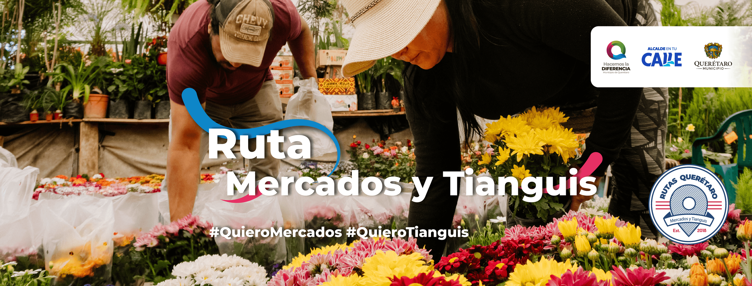 linkedincover-mercados.png